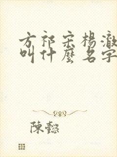 方祁宋杨澈小说叫什么名字