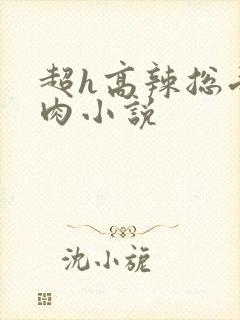超h高辣总受纯肉小说