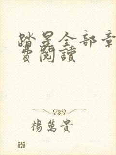 踏星全部章节免费阅读