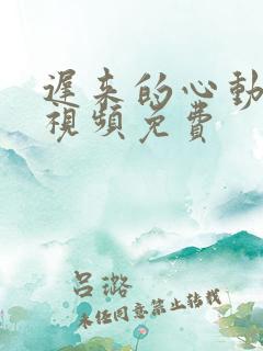 迟来的心动短剧视频免费