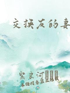 交换友的妻子