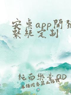 安卓app开发系统定制