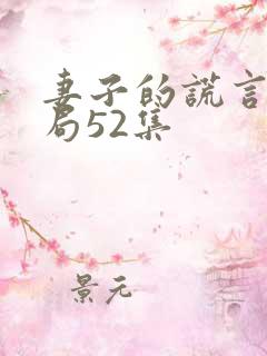 妻子的谎言大结局52集