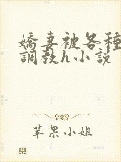 娇妻被各种刑具调教h小说