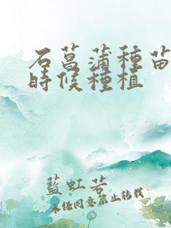 石菖蒲种苗什么时候种植