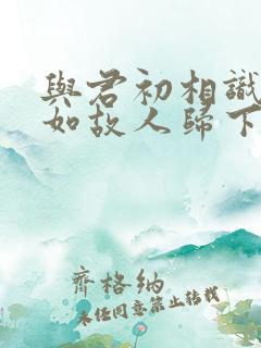与君初相识,犹如故人归下一句