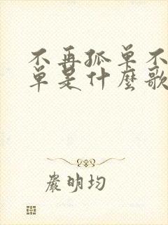 不再孤单不再孤单是什么歌
