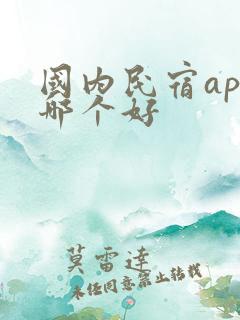 国内民宿app哪个好