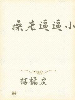 操老逼逼小说