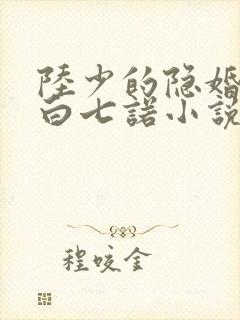 陆少的隐婚罪妻白七诺小说