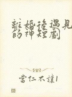 离婚后遇见心软的神短剧