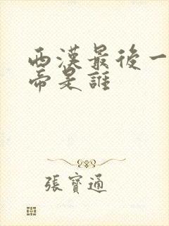 西汉最后一位皇帝是谁
