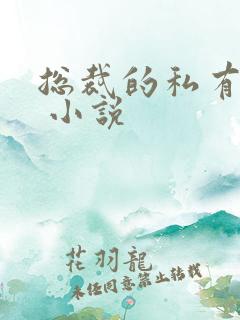 总裁的私有宝贝 小说
