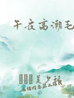 午夜高潮毛片
