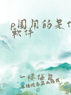 p图用的是什么软件