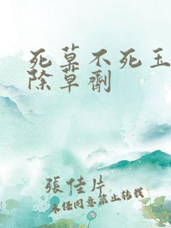 死草不死玉米的除草剂