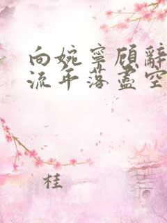 向婉宁顾辞小说流年落尽空白首