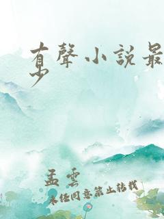 有声小说最强弃少