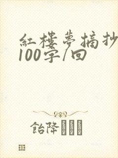 红楼梦摘抄原著100字/回
