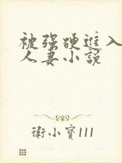 被强硬进入漂亮人妻小说
