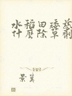 水稻田矮慈姑用什么除草剂