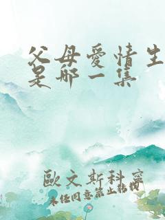 父母爱情生孩子是哪一集