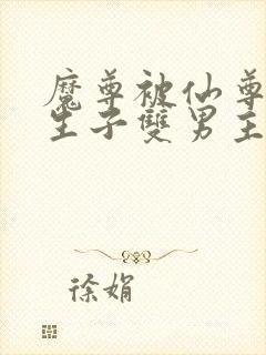 魔尊被仙尊囚禁生子双男主
