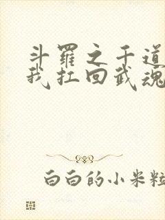斗罗之千道流把我扛回武魂殿