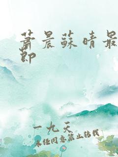 萧晨苏晴最新章节