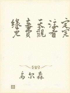 缘来天注定泰剧免费观看完整版