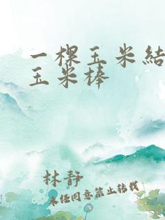 一棵玉米结几个玉米棒