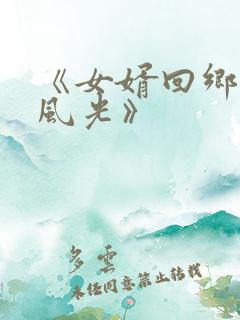 《女婿回乡全村风光》