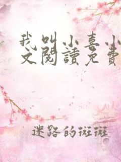 我叫小喜小说全文阅读免费