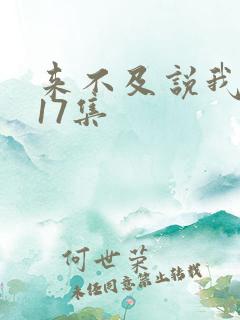 来不及说我爱你17集