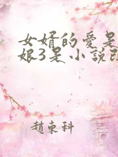 女婿的爱是丈母娘3是小说改编吗