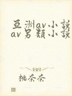 亚洲av小说区av另类小说