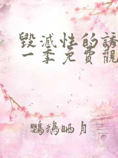 毁灭性的诱惑第一季免费观看