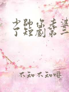 少帅你老婆又跑了短剧第二季