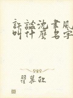 许谧沈聿风小说叫什么名字