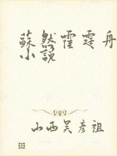 苏然霍霆舟叶南小说