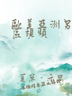 欧美亚洲另类专区视频