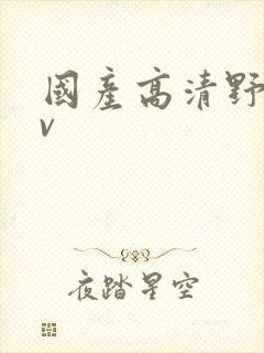国产高清野战av