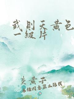 武则天黄色录像一级片
