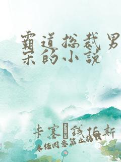 霸道总裁男主姓宋的小说