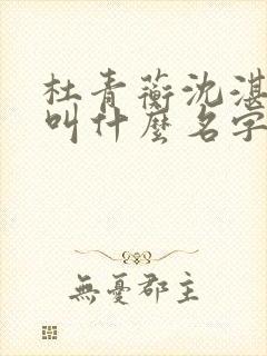 杜青蘅沈湛小说叫什么名字啊