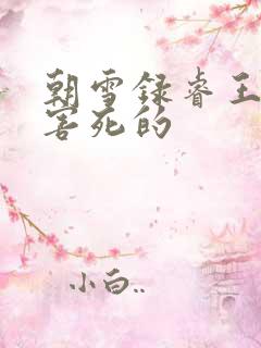 朝雪录睿王是谁害死的