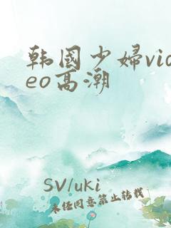 韩国少妇video高潮