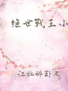 绝世战王小说