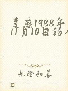 农历1988年11月10日的八字