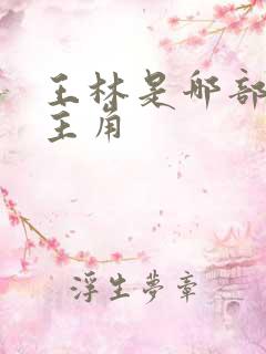王林是哪部小说主角